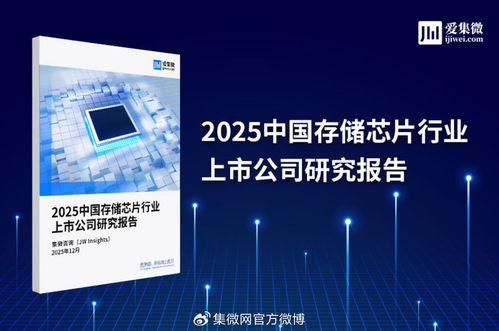 2025中國存儲芯片行業上市公司研究報告 技術演進、市場格局與投資機遇