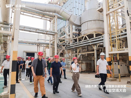 綠色溯源 品質(zhì)引領(lǐng)丨走進千年舟工廠,領(lǐng)略智能制造硬核實力
